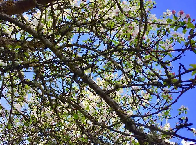 Rural Nova Ruta Hotel